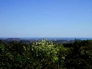 Finca en Cervera