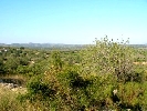 Plot of Land in Cálig