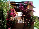 House in Sant Jordi