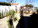 Image 32