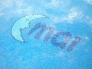 Image 34