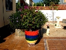 House in Vinaroz