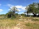 Plot of Land in Cálig