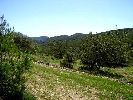 Propriété Rurale en Cervera