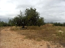Image 18