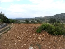 Propriété Rurale en Cervera