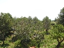 Appartement en Peñiscola