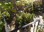 House in Peñiscola